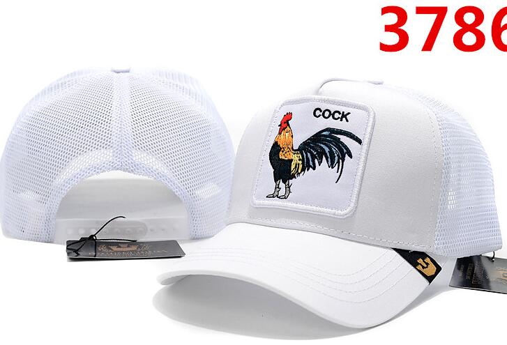 erección de la polla negra 2020 erección de la polla negra 2020