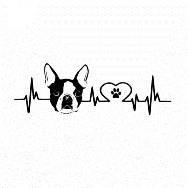 

20*6.7CM Boston Terrier vinyl car sticker black/silver CA-653