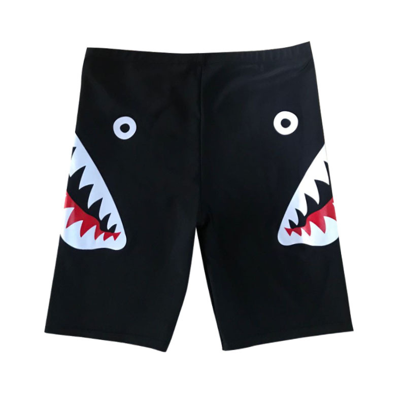 shark