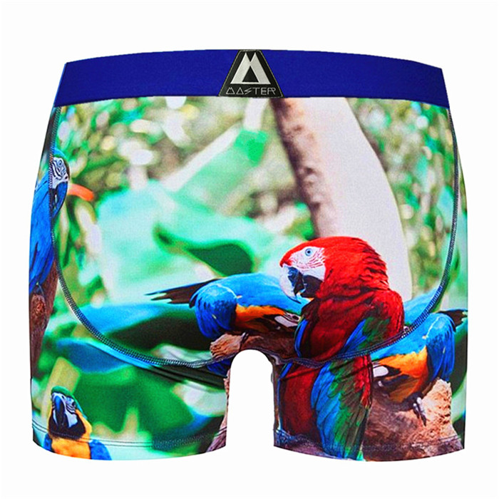 

Mens Underwear PULLIN Mens boxers 11 new style Breathable mens Underpants pull in Designer French brand 3D printing fashion free shipping, Colour 4