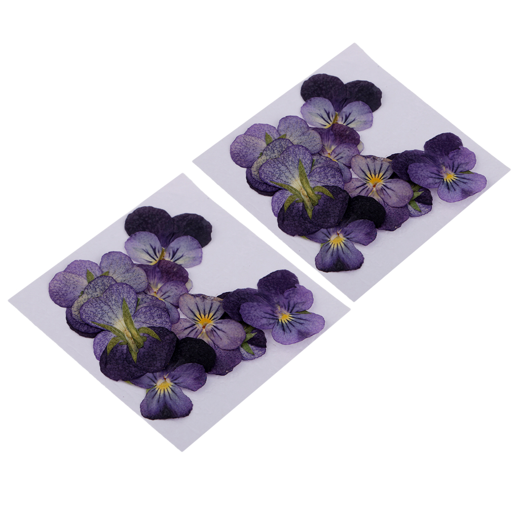 

24 Pieces Violet Natural Real Dried Flowers For DIY Crafts Scrapbooking Nail Art Jewelry Making DIY Necklace Pendants, As pic