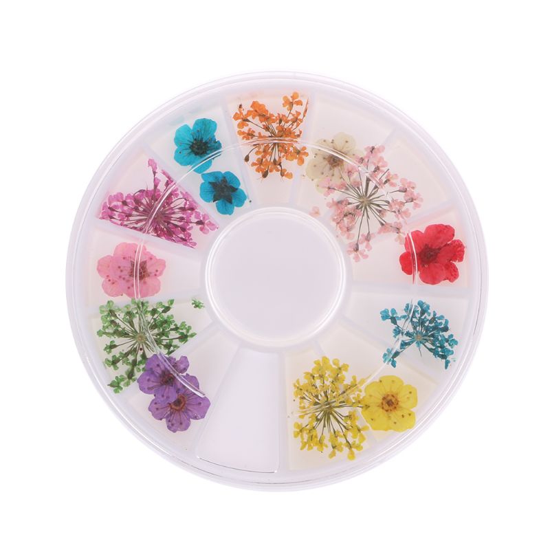 

Real Nail Dried Flowers Nail Art Decoration DIY Tips Case Small Flowers Nails G6KE