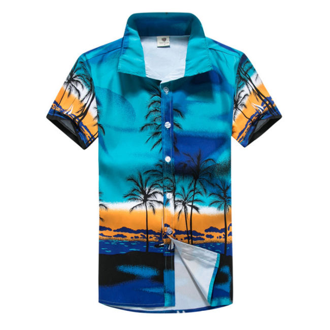 Men Shirt Blue