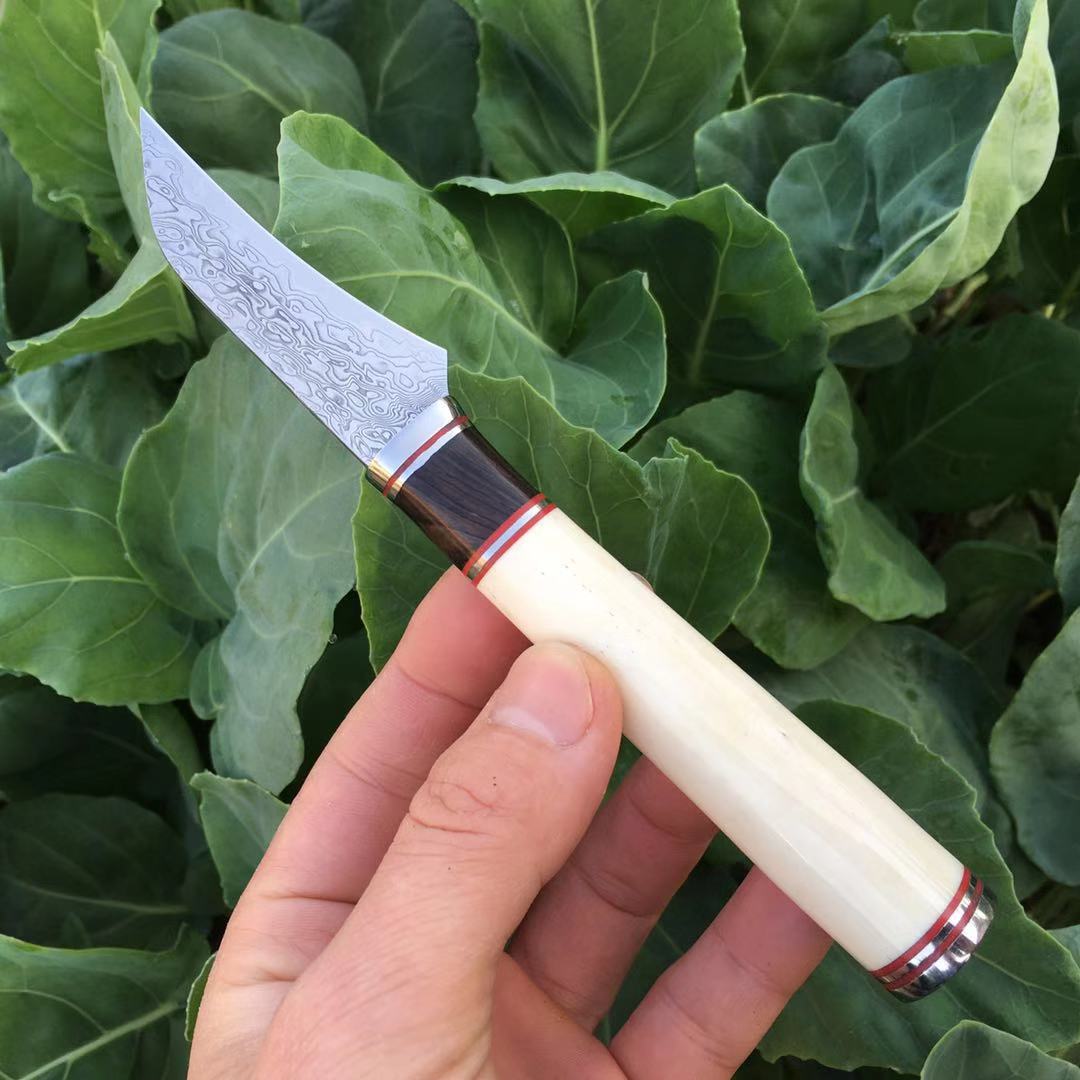 

SK-21 VG10 Damascus Fixed Blade Hunting Knife Red G10 White Ox Bone Handle Handicraft Camping Fruit Peeling Knife Outdoor EDC Boning Knife