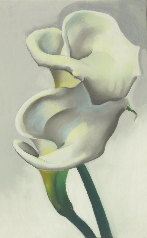 

Georgia O'Keeffe Flower Home Decor Handpainted &HD Print Oil Painting On Canvas Wall Art Canvas Pictures 191114