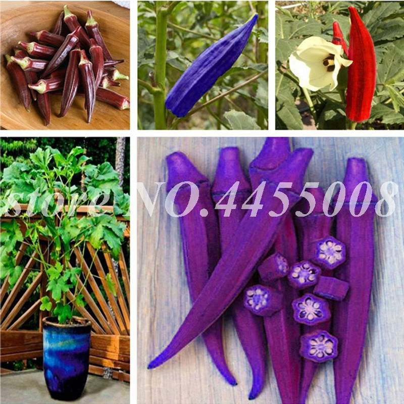 

Hot Sale Seeds 100 pcs Rare Okra Bonsai Green Healthy Vegetable Delicious DIY Home Garden Potted Plants Outdoor Organic Plant Free Shipping