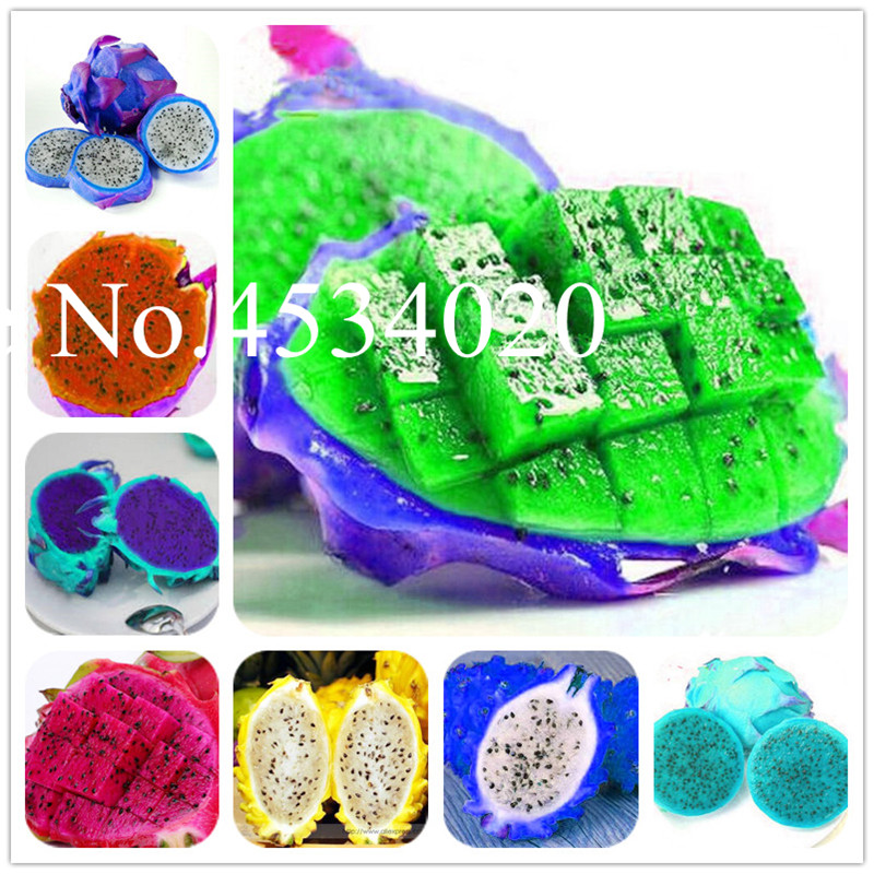 

Bonsai 100pcs Imported Pitaya Seeds Japanese Juicy Non-GMO Bonsai Dragon Fruit Home Garden Indoor Plant Easy Grow In Pots Easy to Grow
