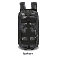 Typhoon