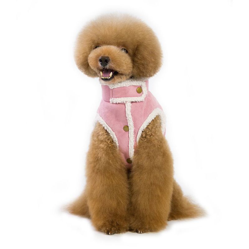 Dog Snow Clothes Online Shopping Buy Dog Snow Clothes At Dhgate Com