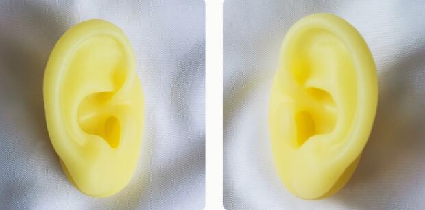 

Fashion 6*4CM yellow colour Soft silica gel real person ear mannequin head taking headset medical teaching display props doll C930