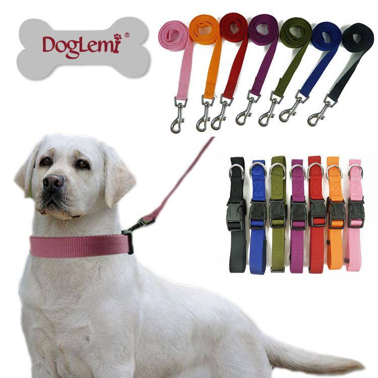 puppy leash and collar set