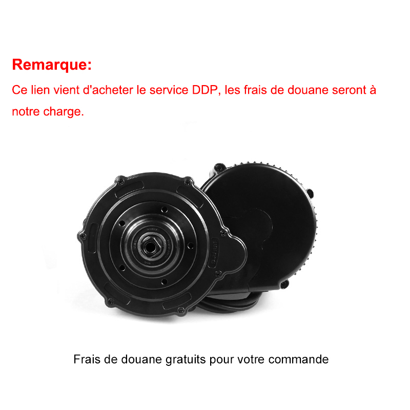 

DDP Service to Electirc Bicycle Conversion Kit