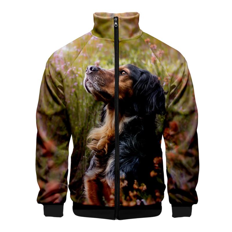 

2020 Lovely Dog 3D Hip Hop Stand Collar Zipper Jacket Women/Men Long Sleeve Jackets Casual Streetwear Funny Animal Clothes, As picture