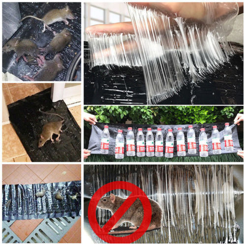 

Big Size Glue Traps Board Super Sticky Rodent Mice Mouse Rat Snake Bugs Safe Traps Black Super Sticky Rodent Traps 1PC