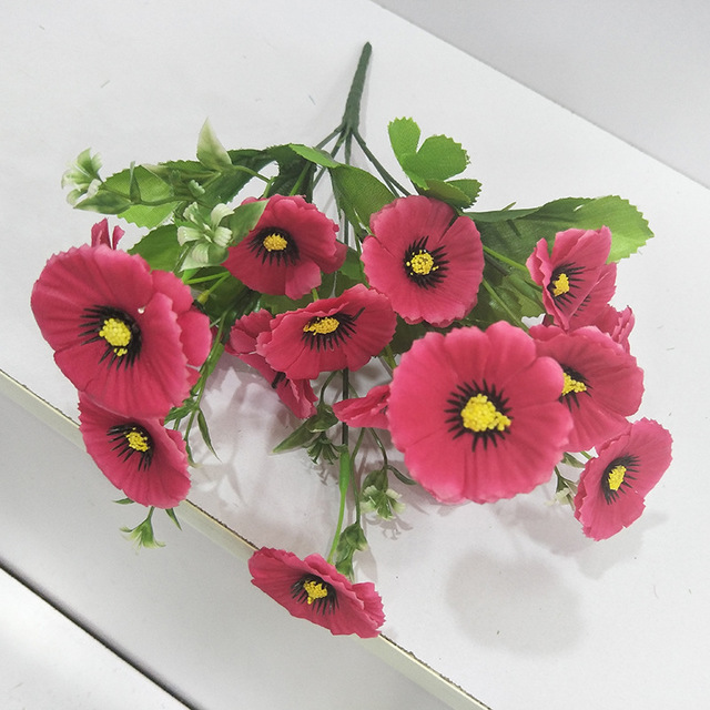 Fizzy Fruit Salad Viola Seeds