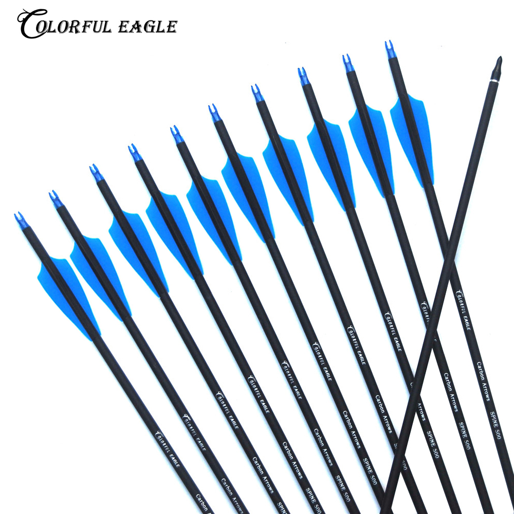 

Archery Carbon Arrow 28inch/30inch/31inch Archery Hunting Nocks Proof Steel Point SP500 For Recurve Compound Bows