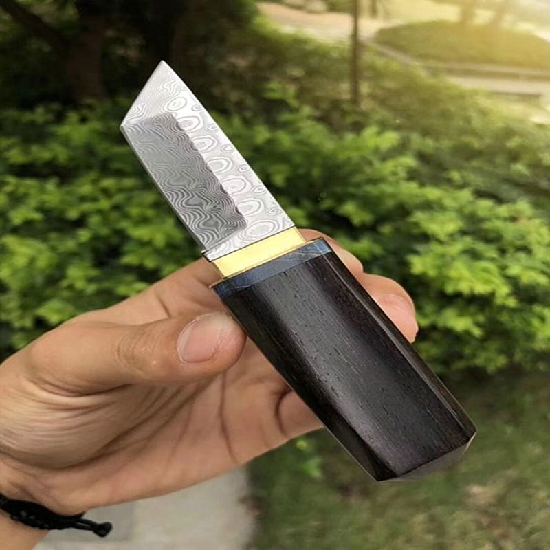 

Special Offer Small Japan VG10 Damascus Steel Tanto Blade Ebony Handle Mini Collectalble Knife Gift Knives
