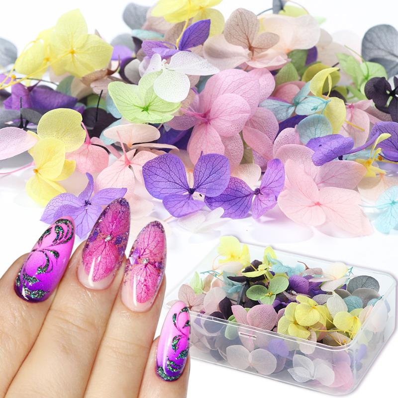 

100pcs Dried Flowers Natural Floral Leaf Nail Art Decoration Manicure Nail Art Decals Jewelry UV Gel Polish Accessories TR1505-1
