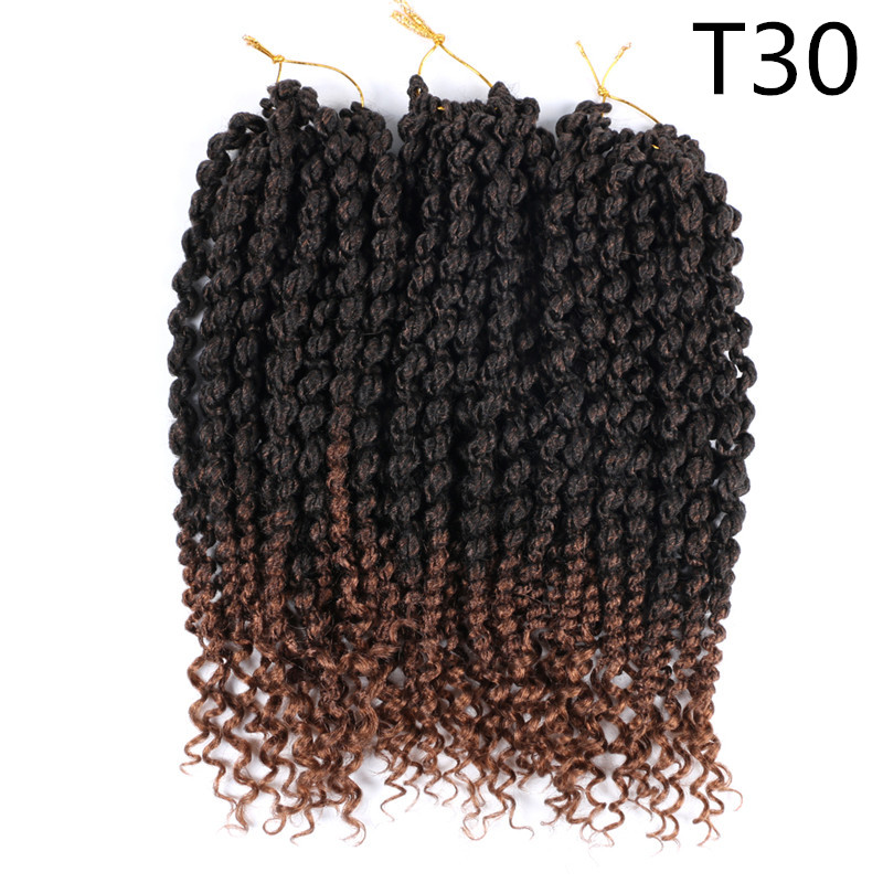 

14 Inch Passion Spring Twist Braiding Hair Extensions 75g/pc Faux Locs Crochet Hair Nubian Twist Synthetic Hair, T30