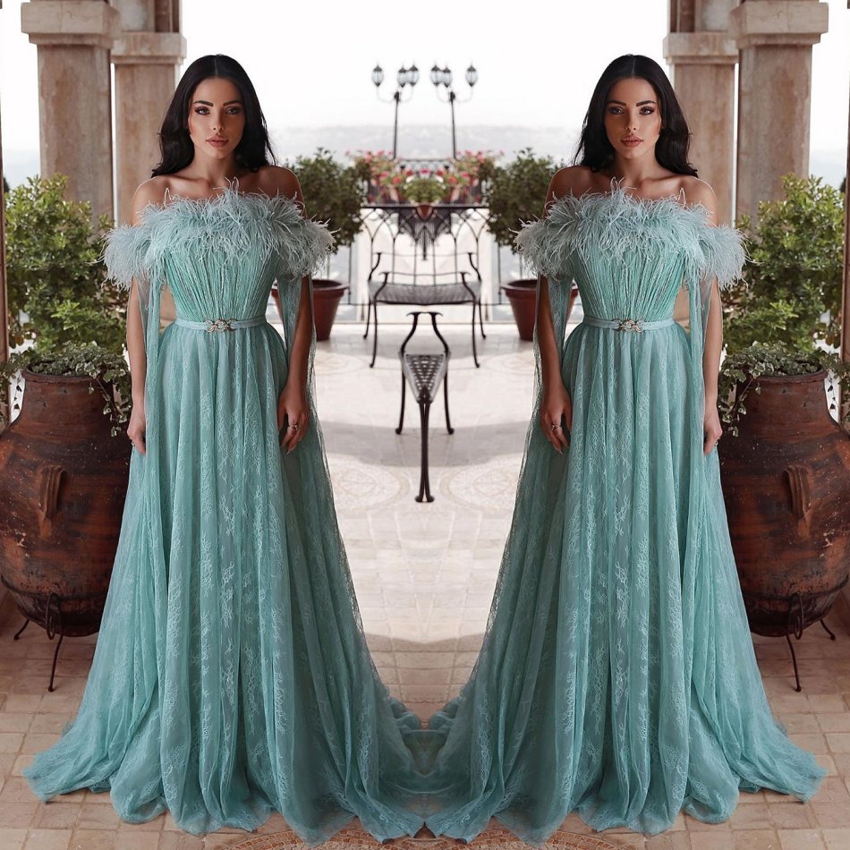 

A Line Prom Dresses Off Shoulder Sleeveless Sash Ribbons Feather Appliques Tulle Party Gowns Sweep Train Special Occasion Dresses, Orange