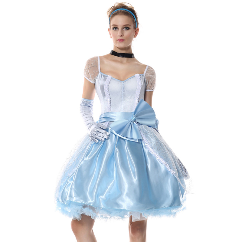 cinderella fancy dress adults