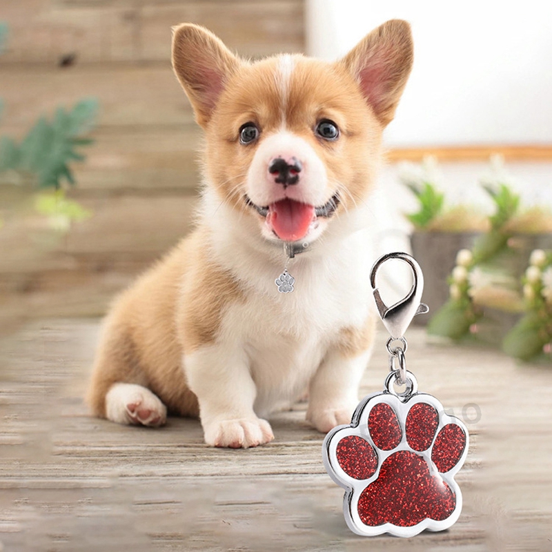 

Cute Dog Paw Shaped Pet Tag Name Brand Key Ring ID Card Keychain Metal Puppy Cat Neck Pendant Key Holder Wholesale 6 Colors DBC BH2854