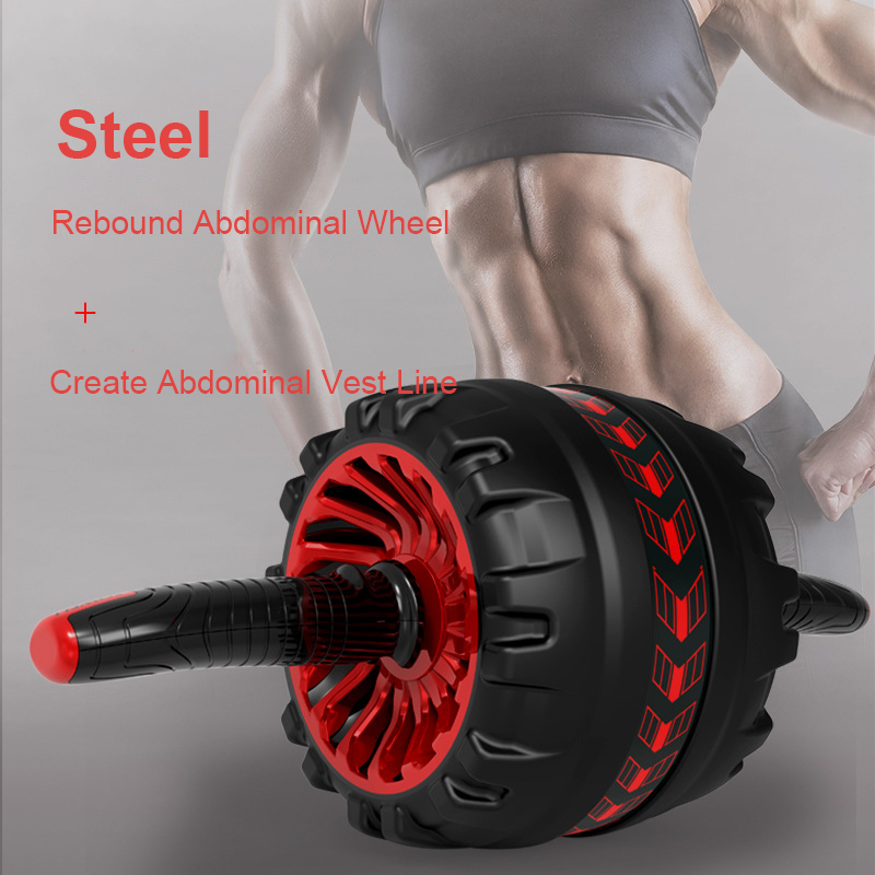 

Ab Roller No Noise Abdominal Wheel Ab Roller with Mat for Home Gym Muscle Arm Waist Exercise Fitness Equipment, Blue