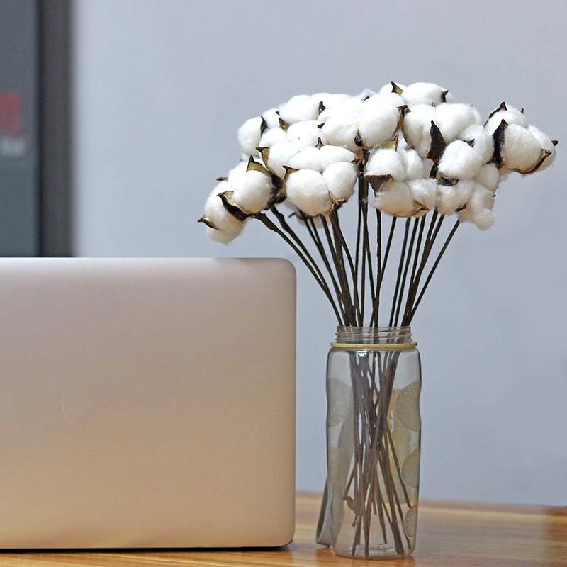 

30 Pcs White Natural Cotton Boll Balls Wire Stem 12 Inch Length for Wreaths, Decor, Off Stick Branches Wired Look White Cott