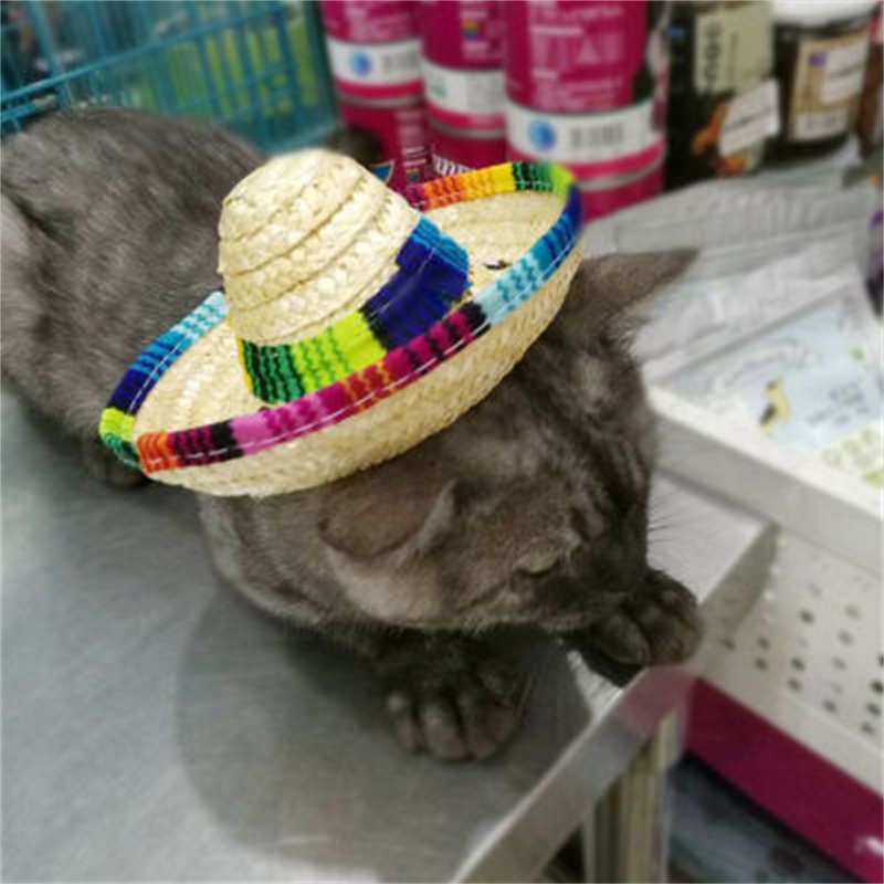 Mini Pet Dogs Straw Hat Sombrero Cat Sun Hat Beach Party Straw Hats Dogs Hat JG