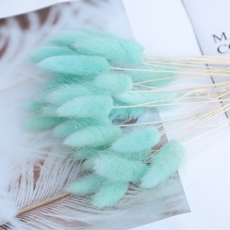 

Dried Flower Bouquet Artificial Lagurus Ovatus Decoration for Home Hotel Wedding KSI999, Sky blue