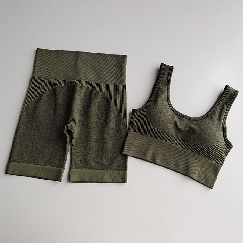 

New Summer Seamless Yoga Set 2 Piece Sports Suit Female Workout Clothes Sports Bra+High Waist Gym Shorts Women Sportwear, Dark gray shorts