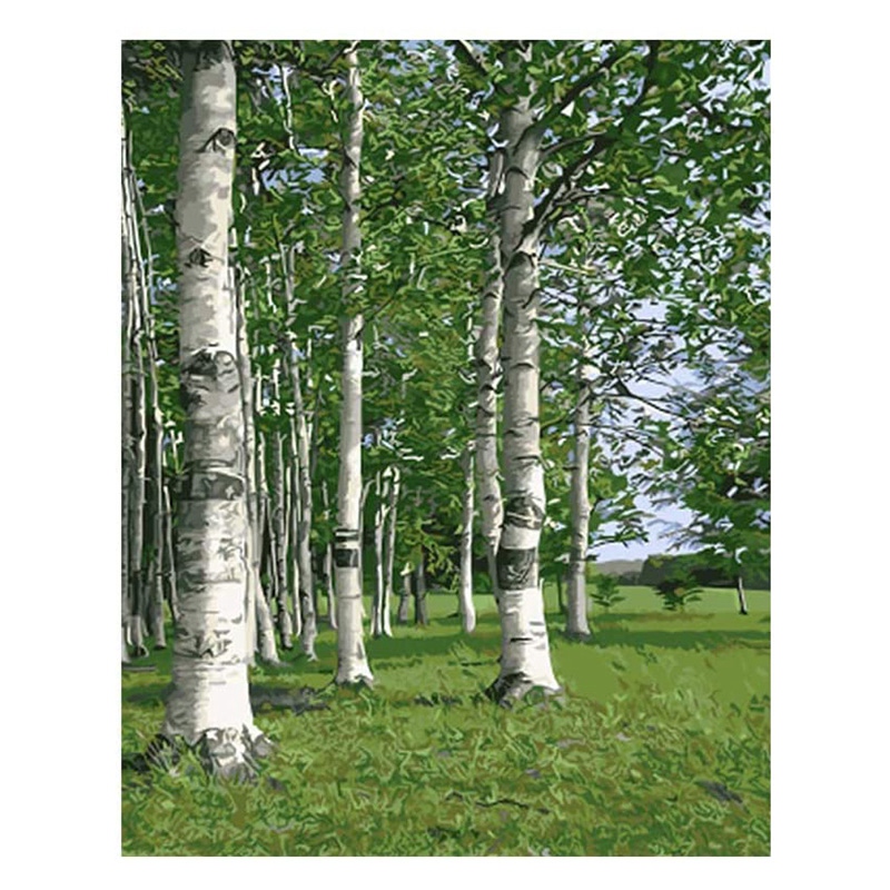 

FashionPaint By Numbers for Adults and Kids DIY Canvas Painting for Adults Beginner DIY Oil Paint- Without Frame(Birch