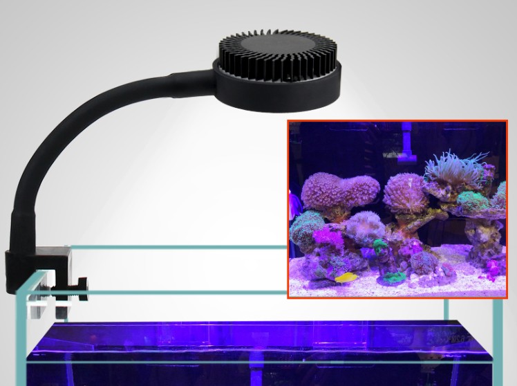 

zetlight LED light ZN1010 1020 LED Full Spectrum Aquarium Light Coral Sunrise Sunrise Sea Water Coral Cylinder Ligh