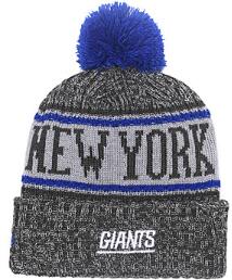 ny giants skull cap