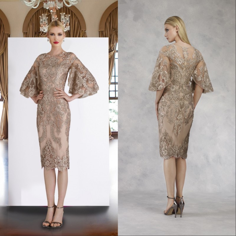 

Vintage Lace Short Sleeves Mother of the Bride Dresses Knee Length Evening Gowns Plus Size Wedding Guest Dress