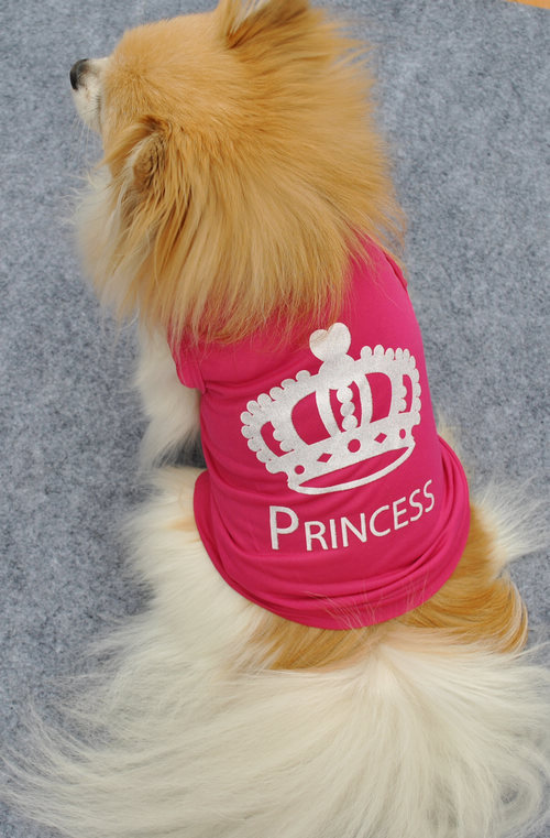 Small Girl Dog Outfits