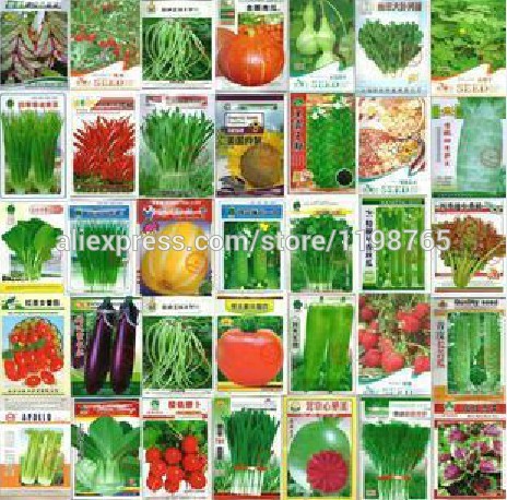 

100 pcs Vegetable Bonsai Plant cucumber eggplant pepper pumpkin cabbage shallot carrot tomato potted balcony garden four seasons