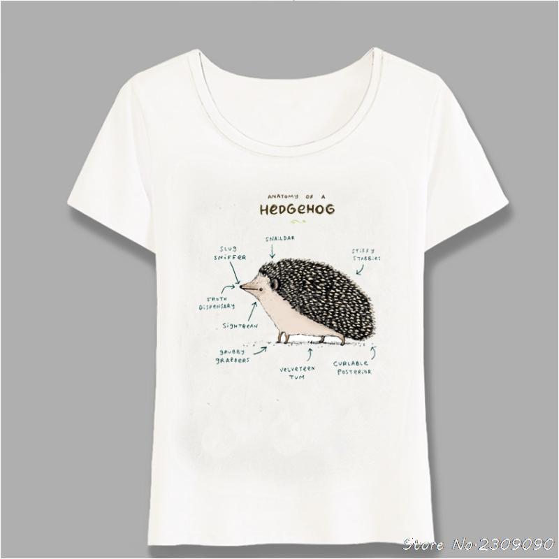 

Anatomy Of A Hedgehog Print T-Shirt 2020 New Summer Novelty Women t-shirt Simple Style Maiden Tops Fashion Ladies Tees Harajuku
