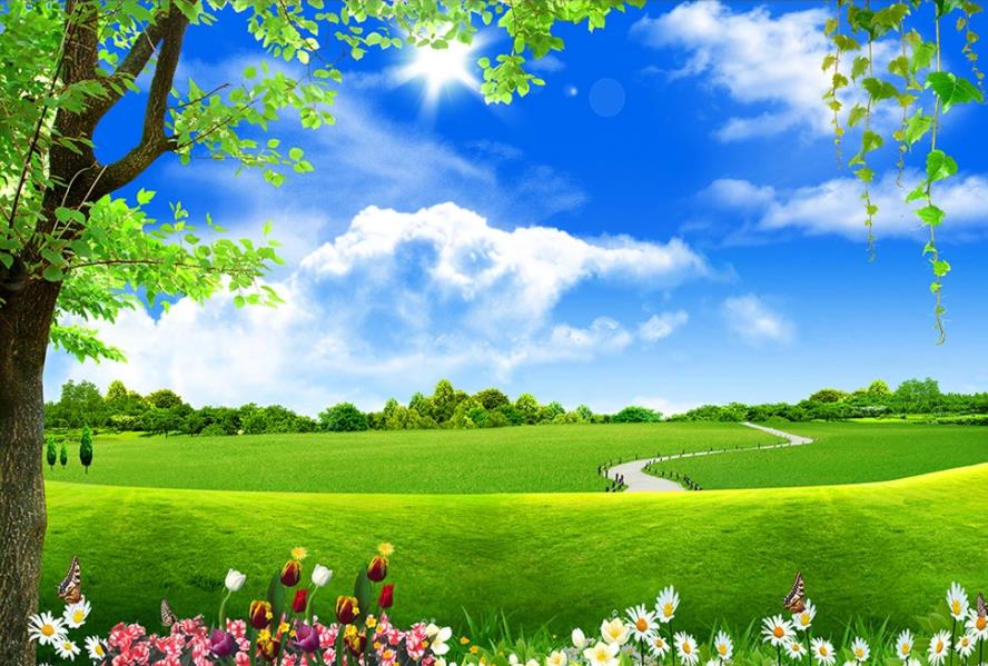 

beautiful scenery wallpapers Blue sky white clouds big tree landscape background wall