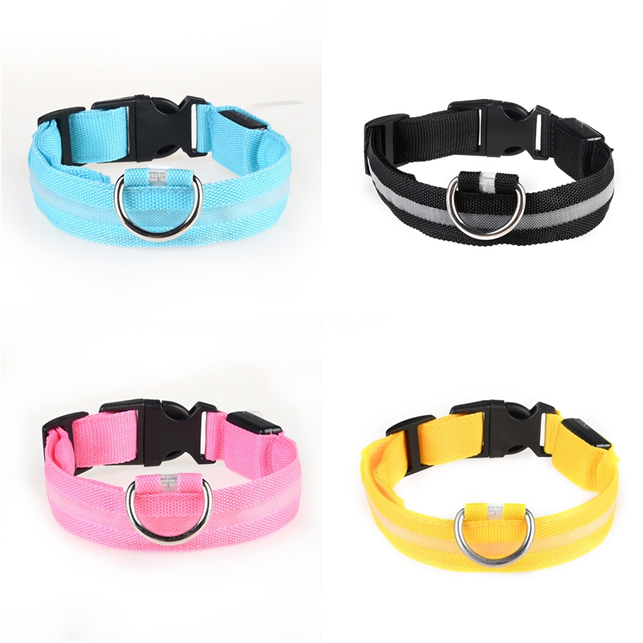 dog collar online shopping