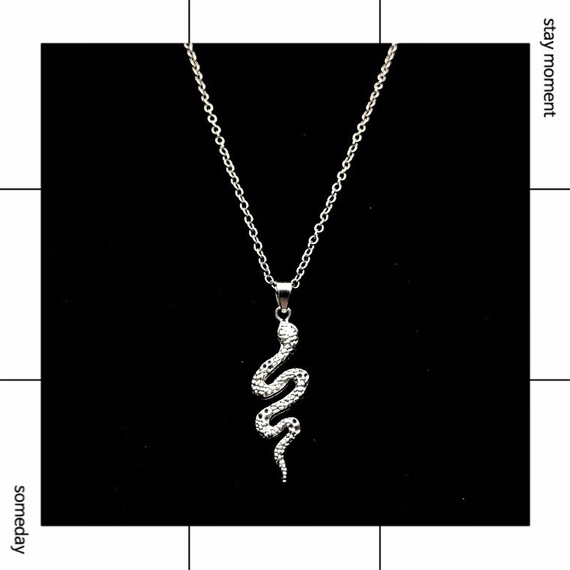 

Necklaces Jewelry Long Womans Chain Necklace Snake Jewellery Ladies Geometric Lovers Trendy Cute Zinc Alloy Vintage Halskette