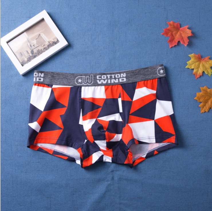 

New brand males underwear man boxer briefs male Panties underwear Free Shipping