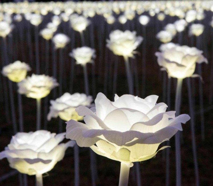 

LED Lantern Show Dream Lights LED Roses Flowers Colorful Valentine's Day Outdoor Square Landscape Park Glistening Holiday Lights LLFA