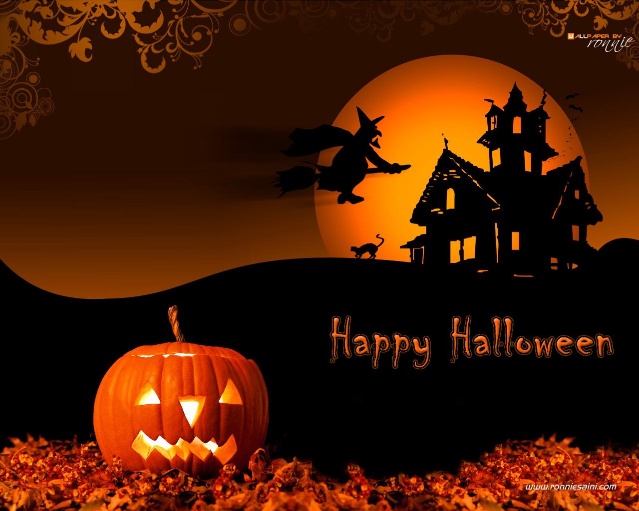 Free Shipping Halloween Contact Package Box Crazy Contacts Case Cosmetic Cosplay Eye Enhancer-image-485756512