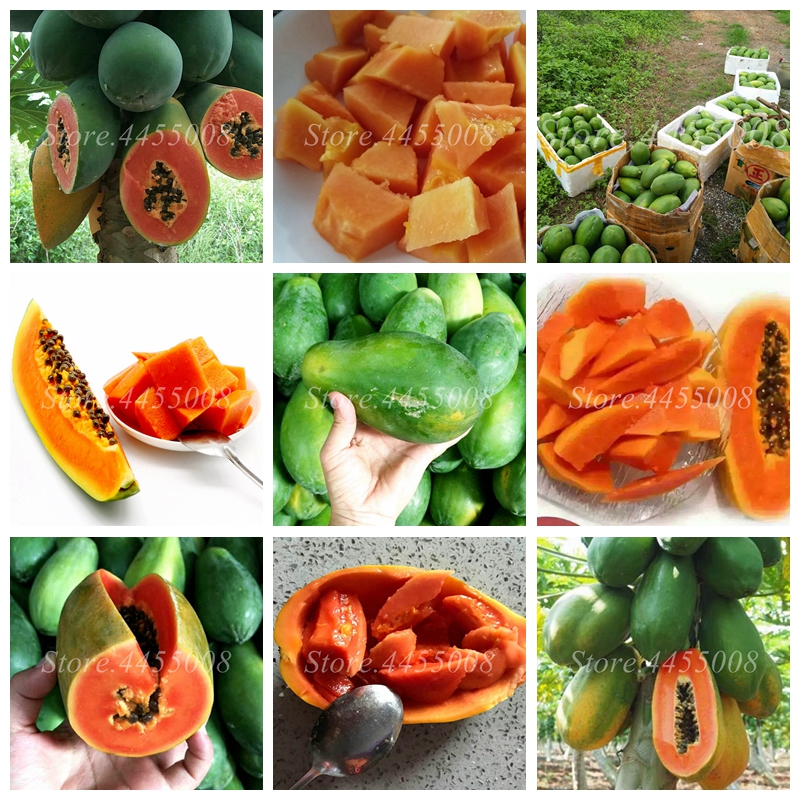 

60 Pcs/ Bag Seeds Bonsai Organic Papaya Heirloom Vegetable Fruit Plants Tree Edible Red Heart Papaya Plant For Garden Decor Easy Grow