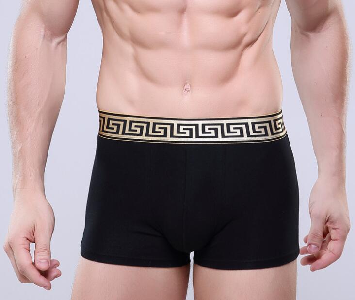 

Men Cotton Boxer Shorts Men Widening Gold Belt Heathy Underwear Brand Mens Boxers Male Panties 7 Colors, Black;white