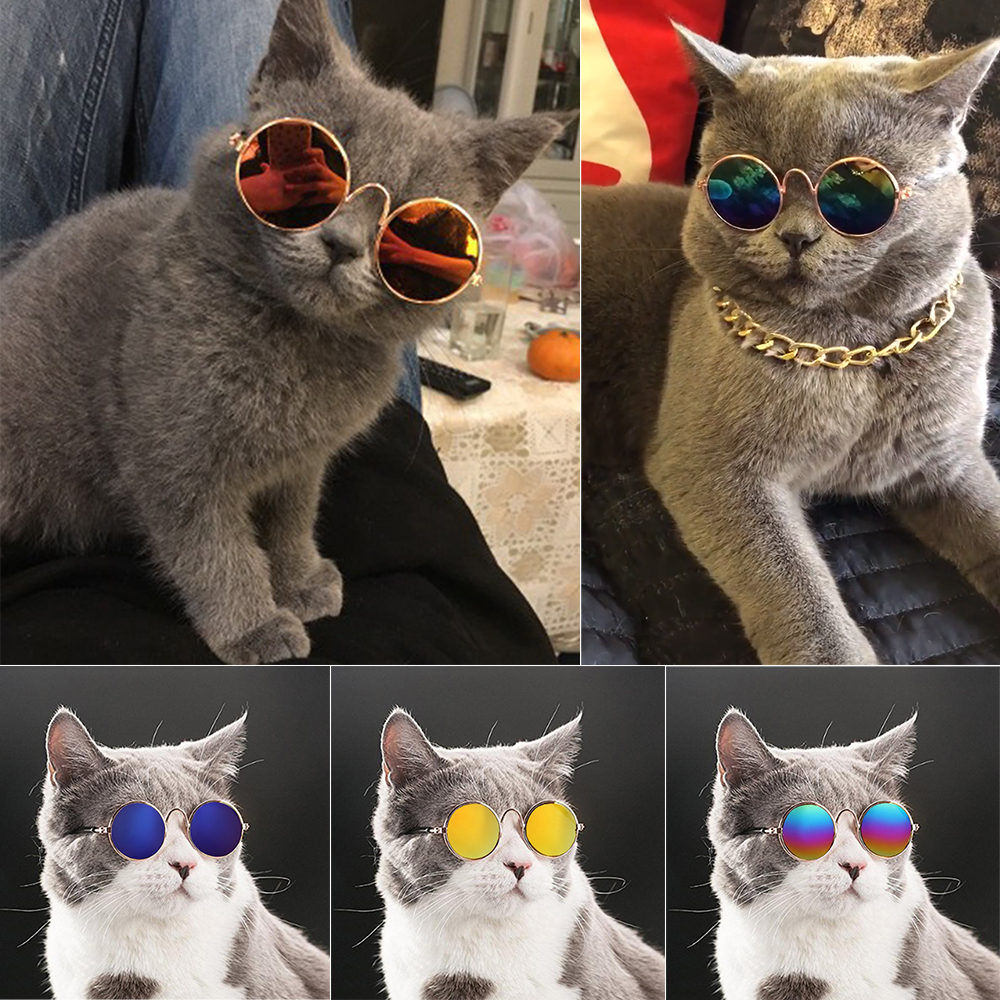 

Lovely Cat Glasses Dog Glasses Pet Products For Little Cat Dog Eye-wear Dog Sunglasses Photos Pet Accessories