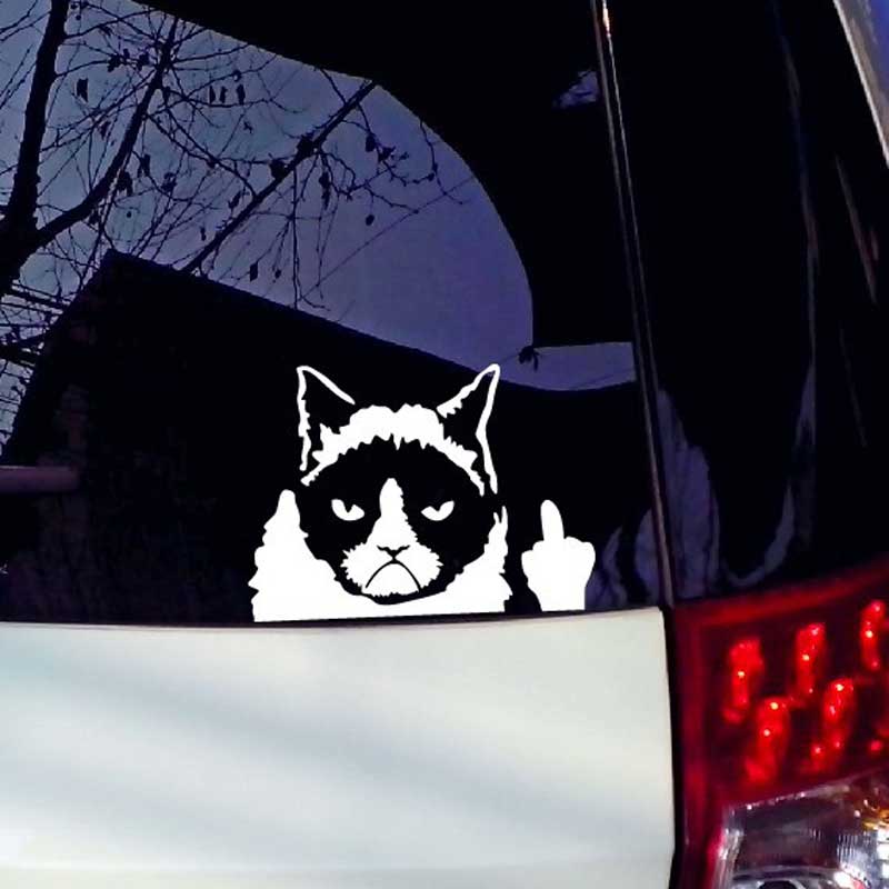 Funny Cat Motorcycle Hook Materproof Cover Scratched Decals Funny Car Stickers-image-447857439
