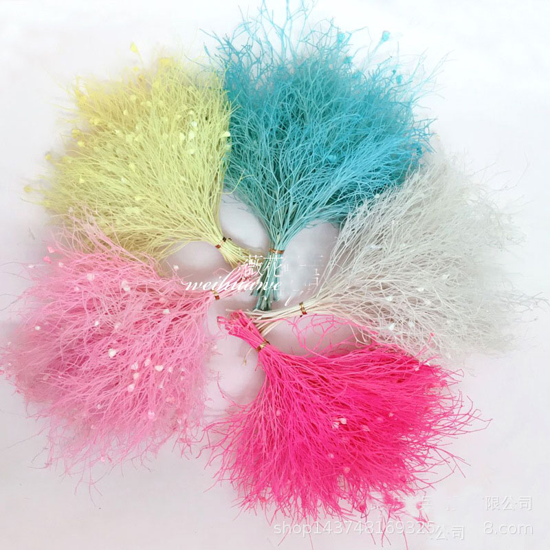 

Nature Fresh Preserved Fantasy Grass, Eternell Plant Flower,Christmas Wedding Home Gift Box Decoration ,Eternelle Rose,23g/lot, Red