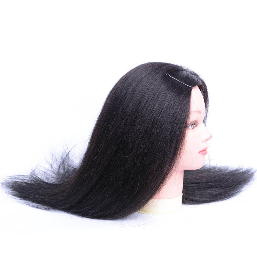 cosmetology doll heads for sale